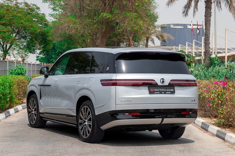 2025 Denza N9 Prestige 4-Cylinder Engine Silver White VIP SEAT