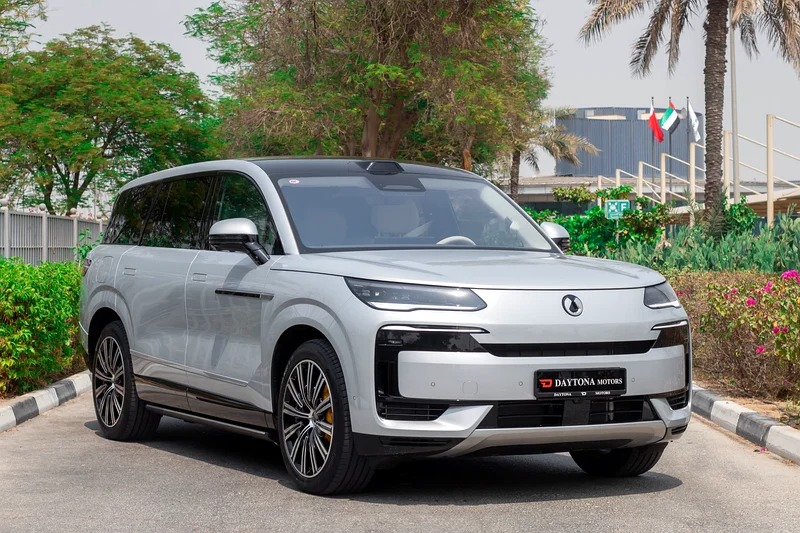 2025 Denza N9 Prestige 4-Cylinder Engine Silver White VIP SEAT