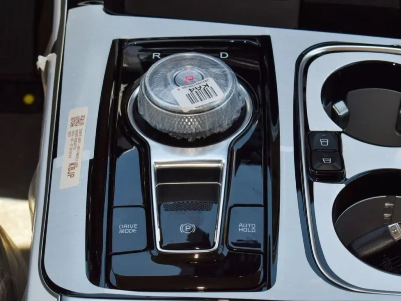 2023 Kia Carnival Brand New Carnival Hi-Limousine Full Black Beige