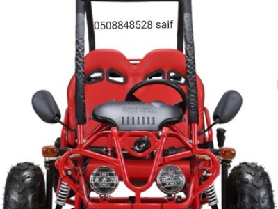 Go Kart 125CC 4 stroke engine single drive Red