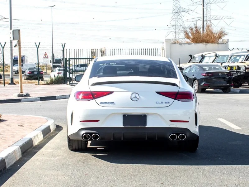 2019 Mercedes-Benz CLS-Class CLS 53 AMG 6 Cylinders Engine White Beige