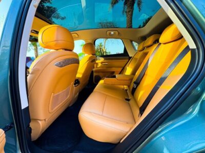 Seres 5 2025 Seres 5 Comfortline RWD 1.5T Hybrid Plug-In Green Tan