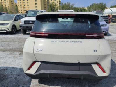 2024 BYD Seagull All-electric Vehicle EV Beige Blue