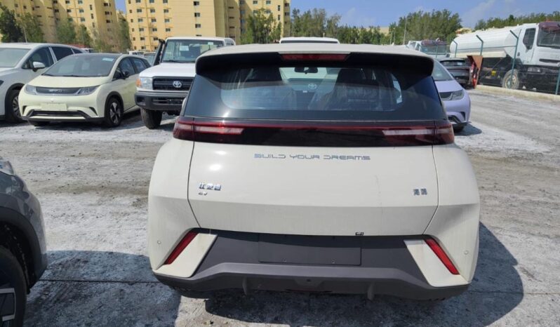 2024 BYD Seagull All-electric Vehicle EV Beige Blue