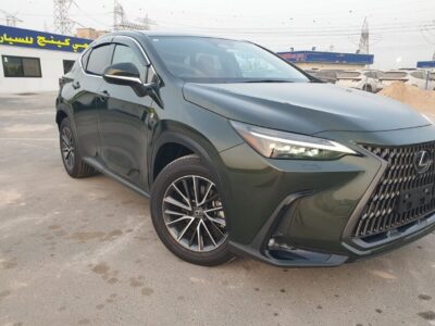 2023 Lexus NX 250 2.5 CC PETROL RHD Green Tan GCC Specs