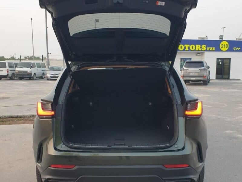 2023 Lexus NX 250 2.5 CC PETROL RHD Green Tan GCC Specs