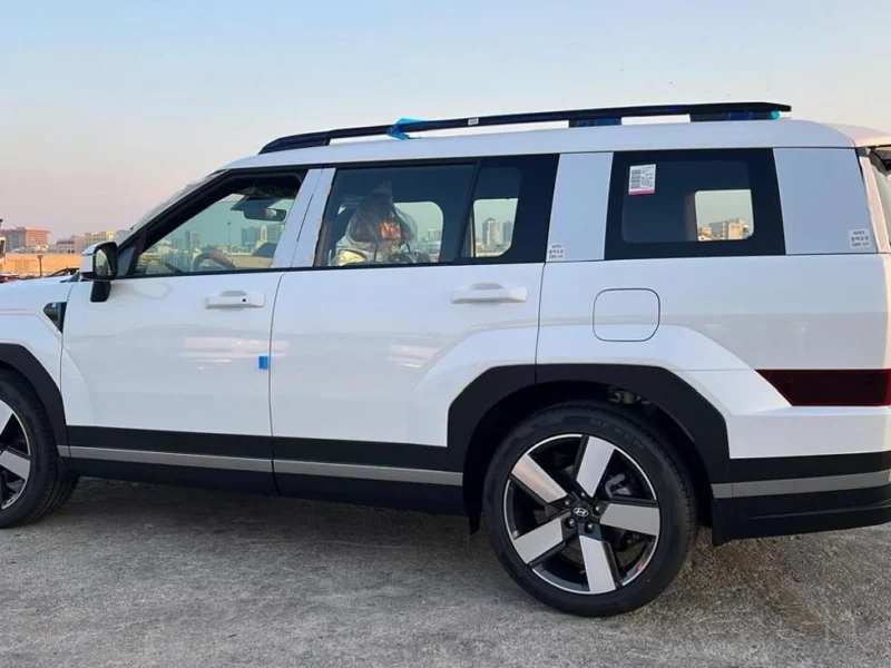 Hyundai Santa Fe 2025 Hyundai Santa Fe 2.5L AT Petrol 4x2 White Tan