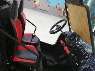 UTV 200CC c 4 stroke engine air cooled single cylinder Blue