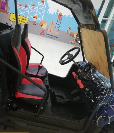 UTV 200CC c 4 stroke engine air cooled single cylinder Blue