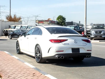 2019 Mercedes-Benz CLS-Class CLS 53 AMG 6 Cylinders Engine White Beige