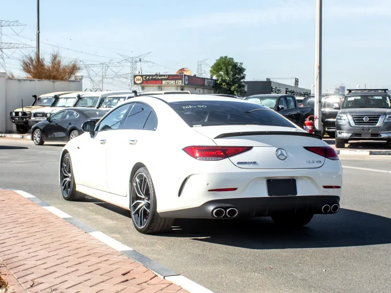2019 Mercedes-Benz CLS-Class CLS 53 AMG 6 Cylinders Engine White Beige