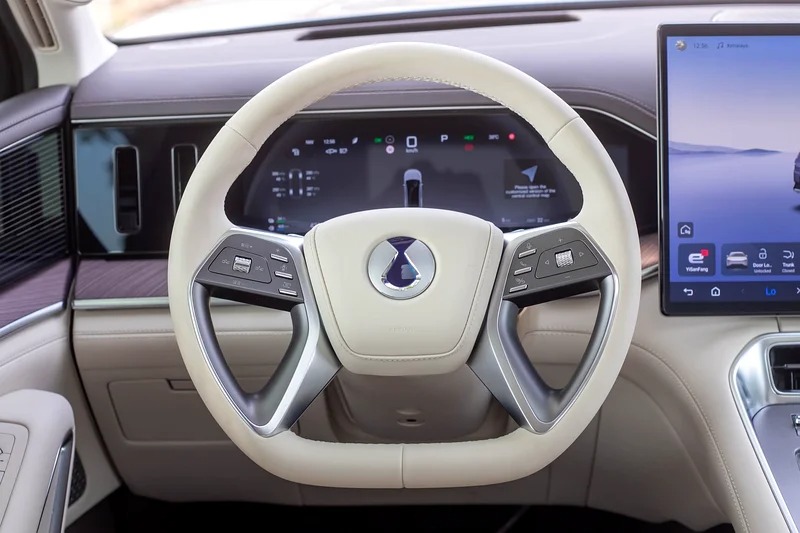 2025 Denza N9 Prestige 4-Cylinder Engine Silver White VIP SEAT