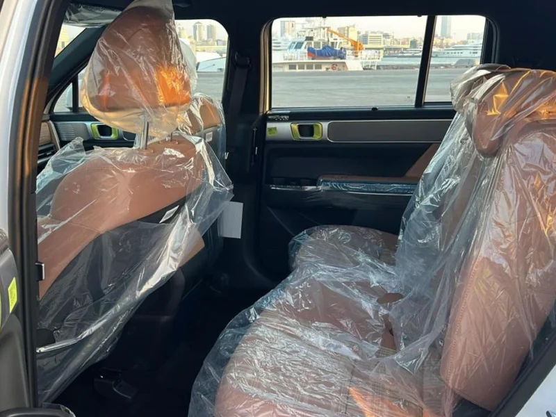 Hyundai Santa Fe 2025 Hyundai Santa Fe 2.5L AT Petrol 4x2 White Tan