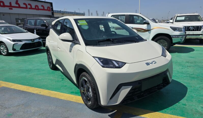 2024 BYD Seagull All-electric Vehicle EV Beige Blue