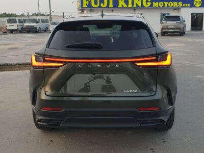 2023 Lexus NX 250 2.5 CC PETROL RHD Green Tan GCC Specs