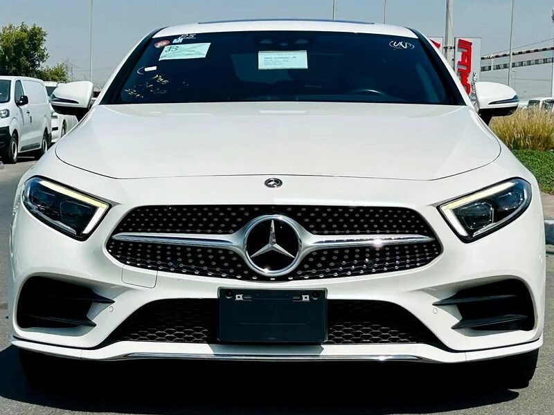 2019 Mercedes-Benz CLS-Class CLS 450 4Matic Neat and Clean Car White Black