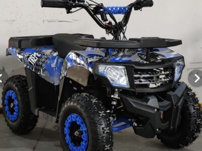 Electric quad 36v 12v/12Ahx3 36v 500w Controller Blue