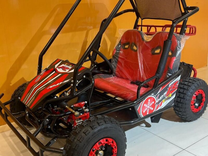 60v20ah battery Speed 30-45 Red