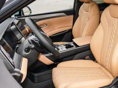 2025 BYD Song L DM-i SURPASS EDITION 0KM Grey Brown SUV