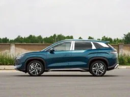 2025 BYD Song L DM-i 0KM 1.5L Range Extender Hybrid Blue Brown