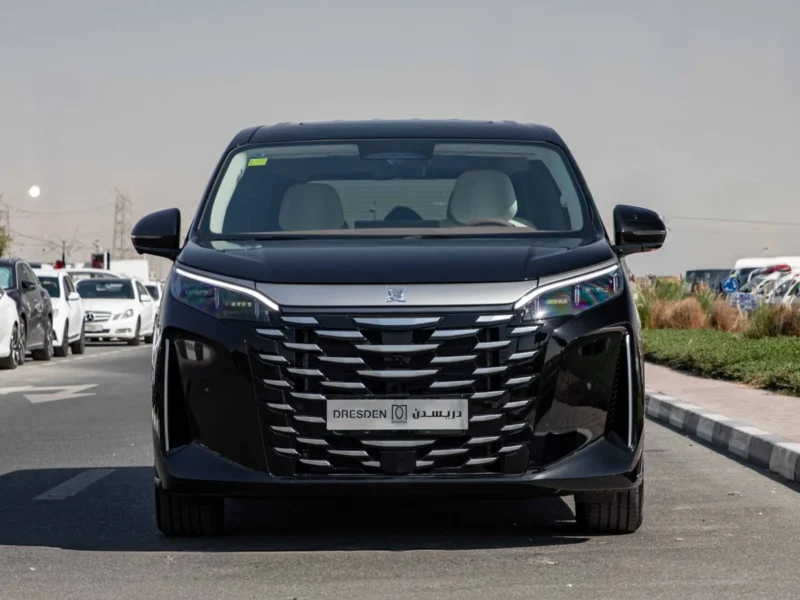 2025 BYD Xia DM-I 180KM EXELLENCE EDITION Hybrid Van Black Beige