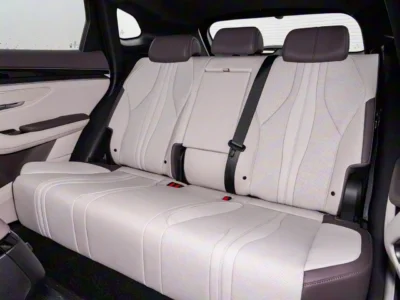 2025 BYD Song Plus DM-I FLAGSHIP SMART DRIVING EDITION Black Beige