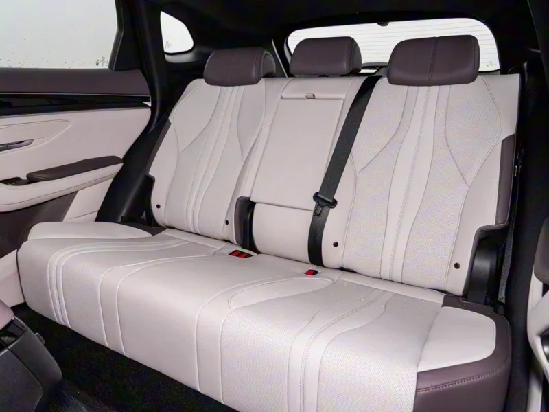 2025 BYD Song Plus DM-I FLAGSHIP SMART DRIVING EDITION Black Beige