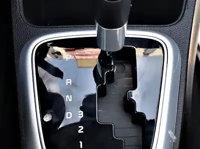 2022 Kia Pegas MPI Top 4 Cylinders Engine Blue Black Sedan GCC Specs