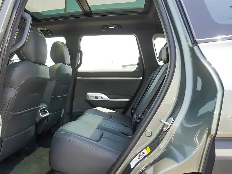 2024 Changan Deepal Air Suspension 2024 1.5L 4WD Petrol Green Black