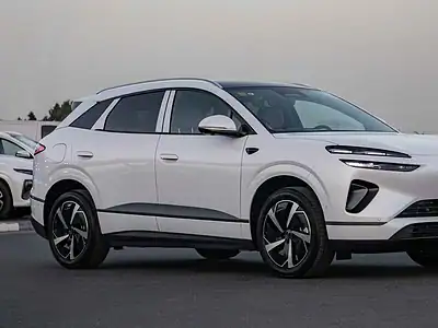 2025 BYD Sealion 06 DM-i NAVIGATE EDITION 0KM White Grey SUV