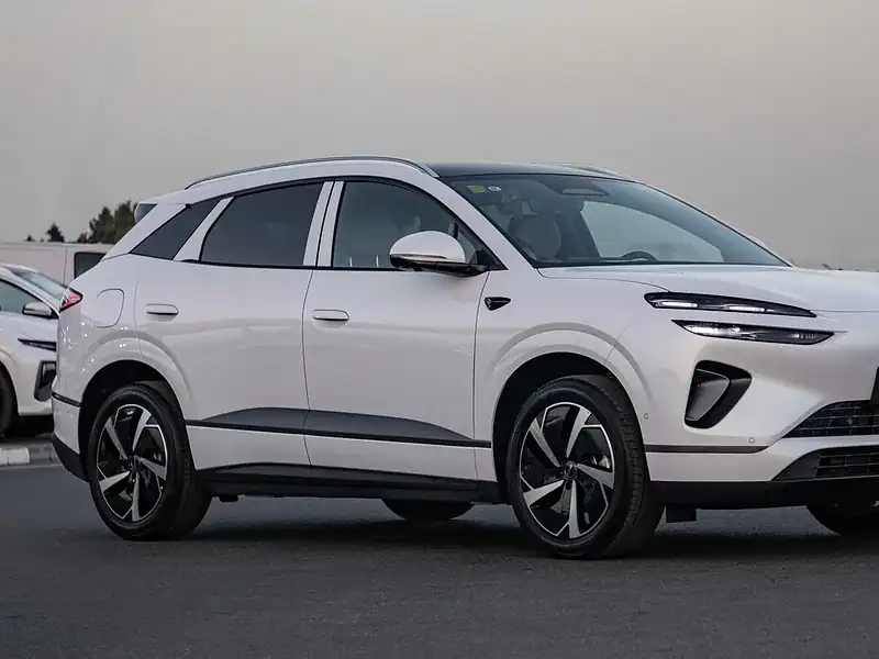 2025 BYD Sealion 06 DM-i NAVIGATE EDITION 0KM White Grey SUV