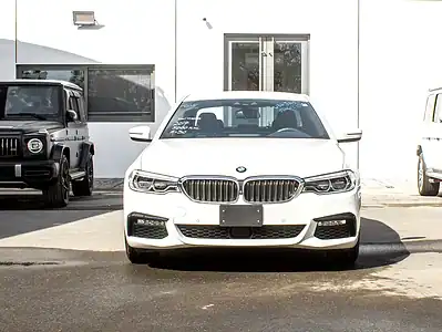 2017 BMW 5-Series 530i M Sport 2.0L Twin-Turbo Petrol 5A Grade White Black