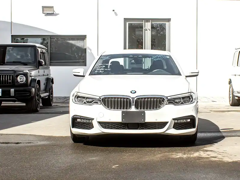 2017 BMW 5-Series 530i M Sport 2.0L Twin-Turbo Petrol 5A Grade White Black