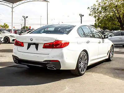 2017 BMW 5-Series 530i M Sport 2.0L Twin-Turbo Petrol 5A Grade White Black