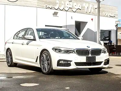 2017 BMW 5-Series 530i M Sport 2.0L Twin-Turbo Petrol 5A Grade White Black
