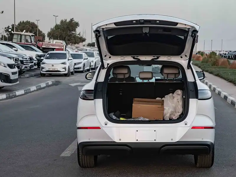 2025 BYD Sealion 06 DM-i NAVIGATE EDITION 0KM White Grey SUV