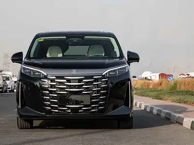 2025 BYD XIA DM-i Hybrid BYD XIA 0KM Black White Van