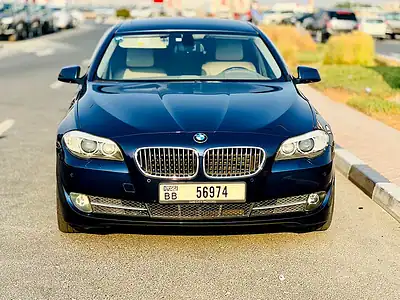 2010 BMW 5-Series 528i 6 Cylinders Engine Blue Beige Sedan