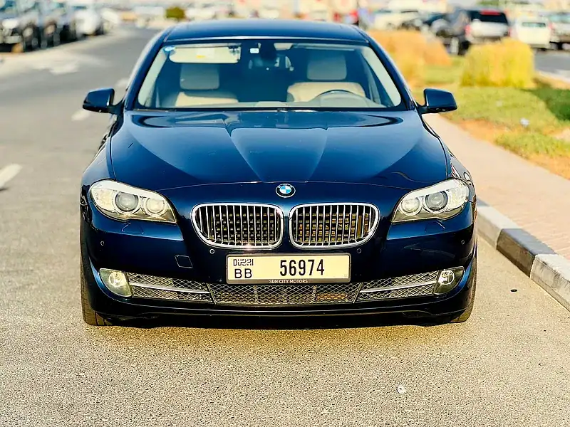 2010 BMW 5-Series 528i 6 Cylinders Engine Blue Beige Sedan