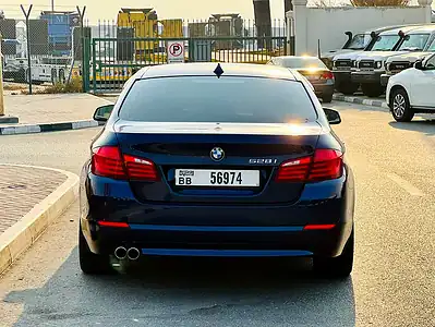 2010 BMW 5-Series 528i 6 Cylinders Engine Blue Beige Sedan