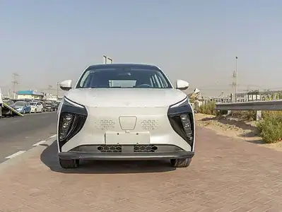 2025 Forthing Friday Dong Feng Electric 410Km White Black SUV