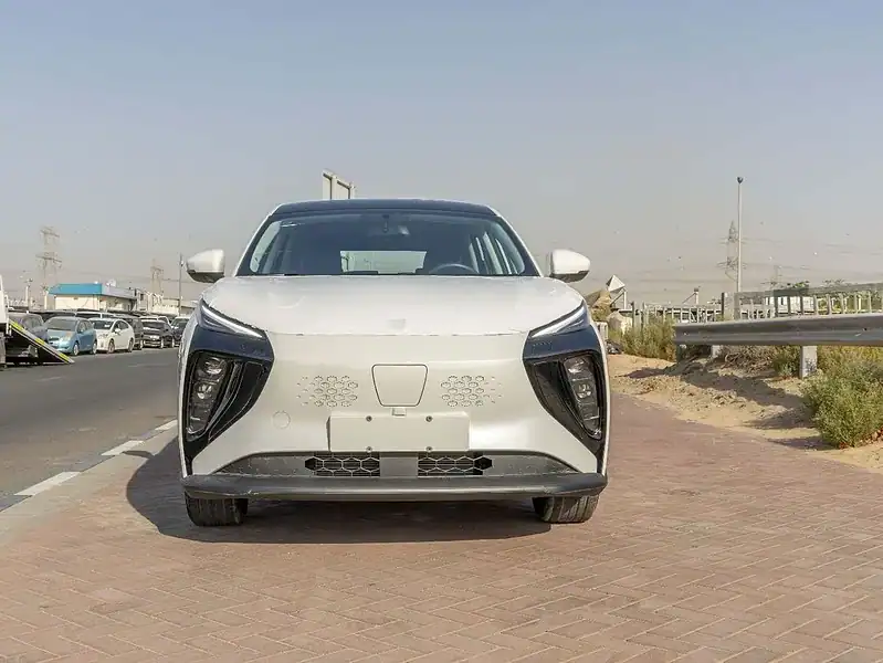 2025 Forthing Friday Dong Feng Electric 410Km White Black SUV