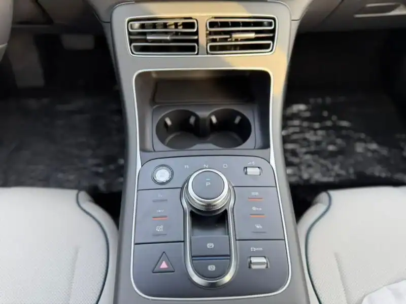 2025 BYD Destroyer 05 BYD Destroyer 05 1.5 Plug-In Hybrid Black Beige Sedan