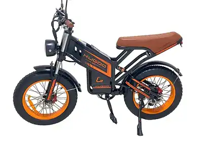 Kugoo V5 Electric Bike Up to 50 km/h
