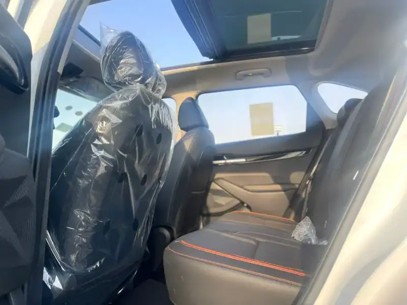 2025 Kia Seltos Other 4 Cylinders Engine White Black Crossover BLACK ROOF