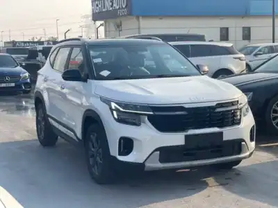 2025 Kia Seltos Other 4 Cylinders Engine White Black Crossover BLACK ROOF