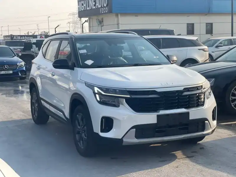 2025 Kia Seltos Other 4 Cylinders Engine White Black Crossover BLACK ROOF