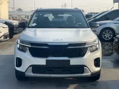 2025 Kia Seltos Other 4 Cylinders Engine White Black Crossover BLACK ROOF