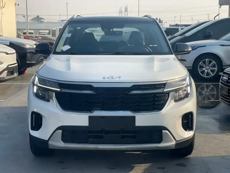 2025 Kia Seltos Other 4 Cylinders Engine White Black Crossover BLACK ROOF