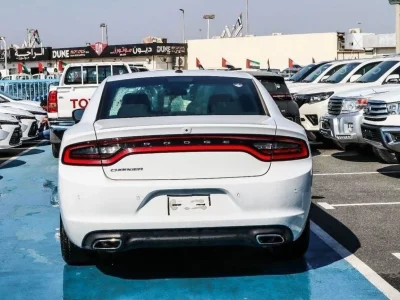 2020 Dodge Charger SE Mid 3.6 litres 6 Cylinders Engine White Grey Sedan